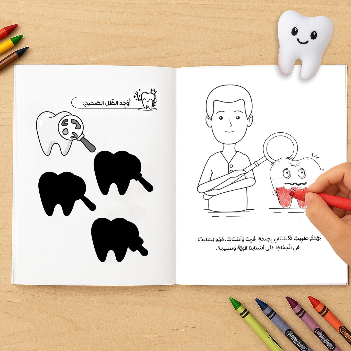 سلسلة أسناني الجميلة  – المجموعة الكاملة (3 كتب تعليمية + 3 كتب أنشطة+ ساعة رملية)