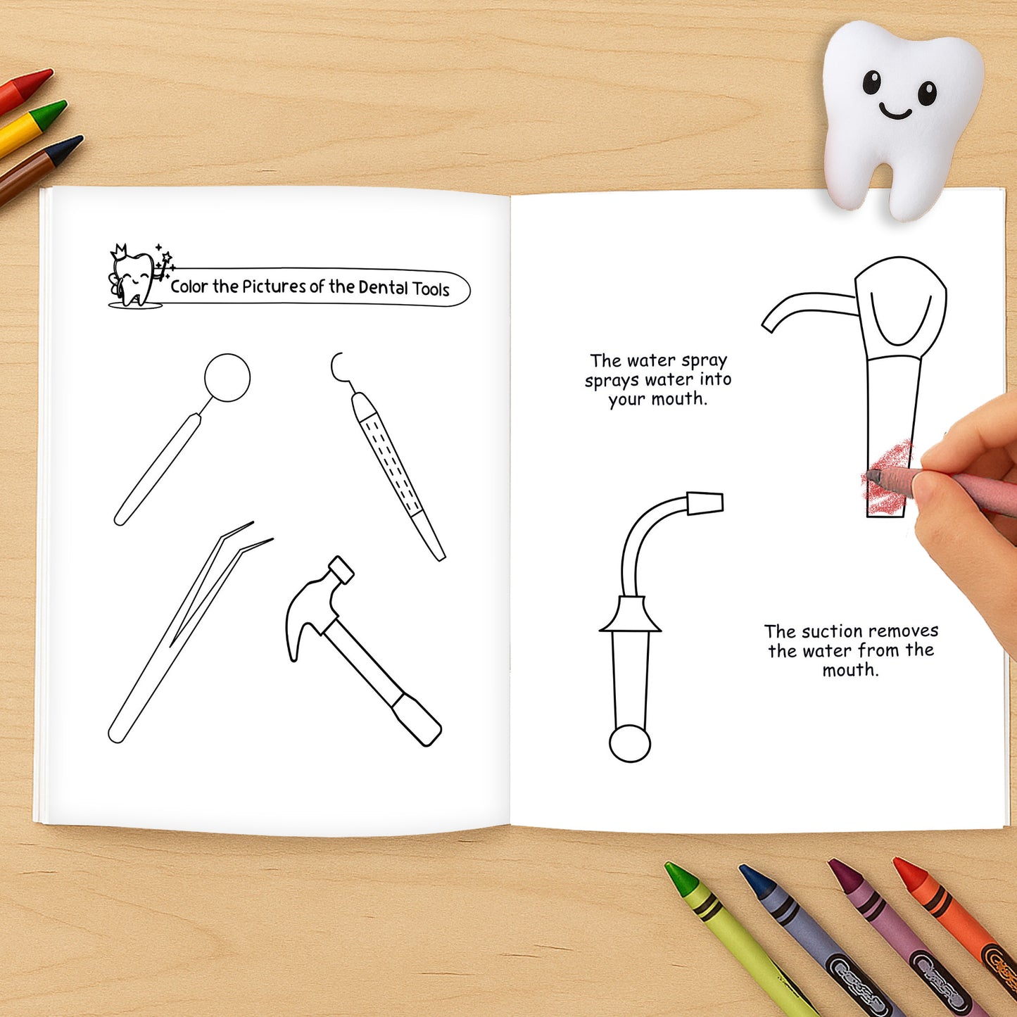 My Beautiful Teeth – Part 3 + Activity Book